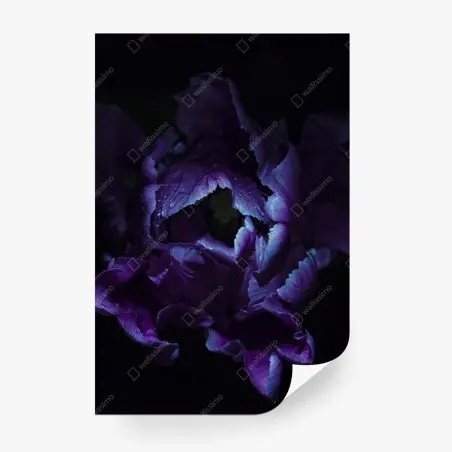 Papier peint élégance violette : tulipe sous lumière ultraviolette – Wallnifity®