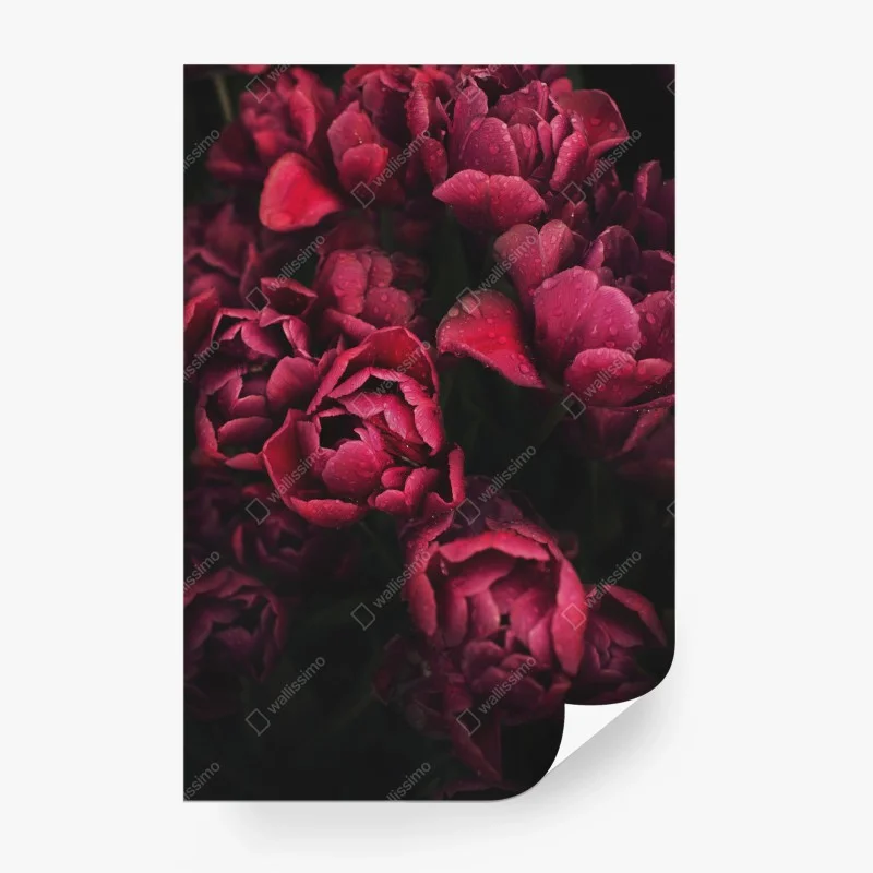 Papier peint bouquet de tulipes rouges en gros plan – Wallnifity® Papier peint bouquet de tulipes rouges en gros plan – Wallnifity®