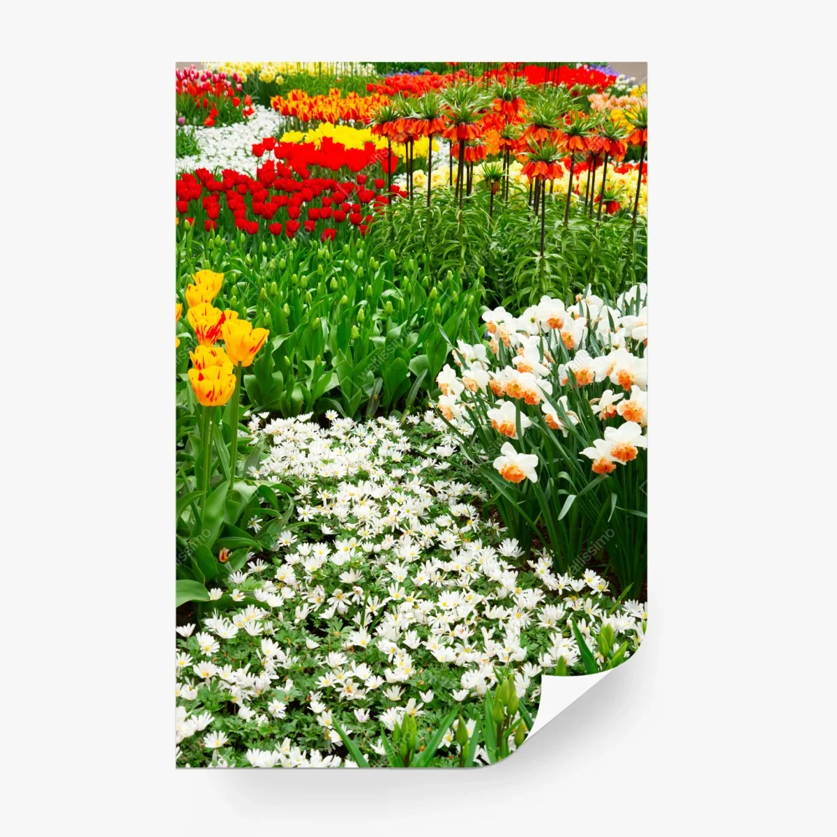 Papier peint champ floral printanier aux couleurs vives – Wallnifity® Papier peint champ floral printanier aux couleurs vives – Wallnifity®