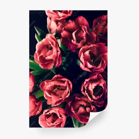 Papier peint bouquet de tulipes corail sur fond sombre – Wallnifity®