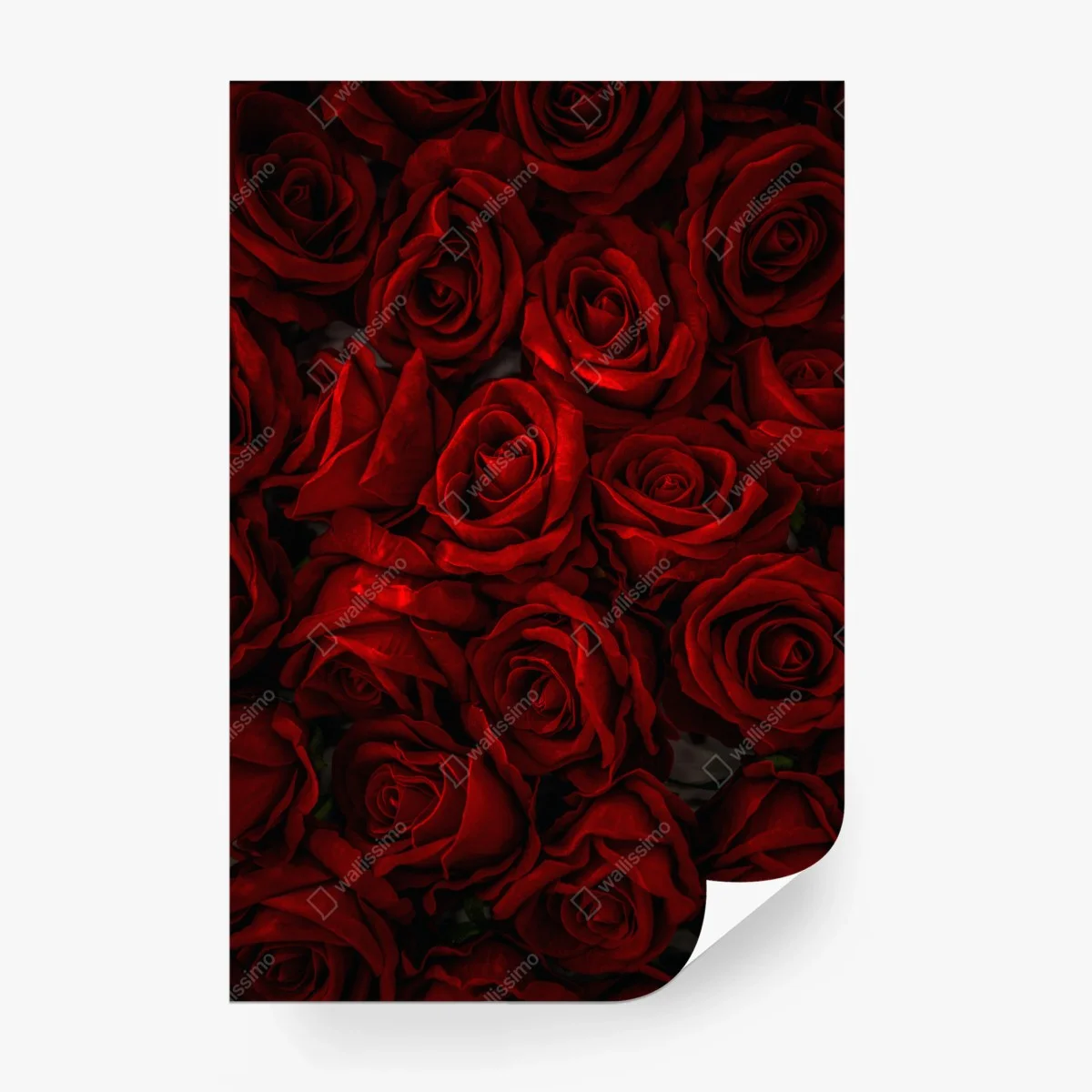 Papier peint bouquet de roses rouges éclatantes – Wallnifity® Papier peint bouquet de roses rouges éclatantes – Wallnifity®