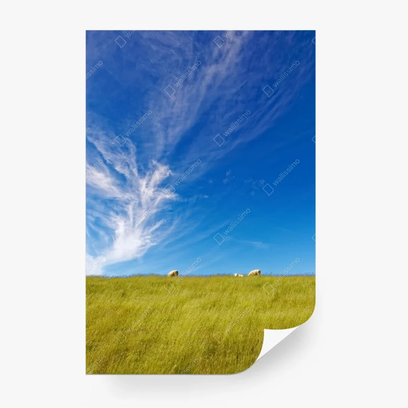 Papier peint paysage pastoral sous ciel d'azur – Wallnifity®
