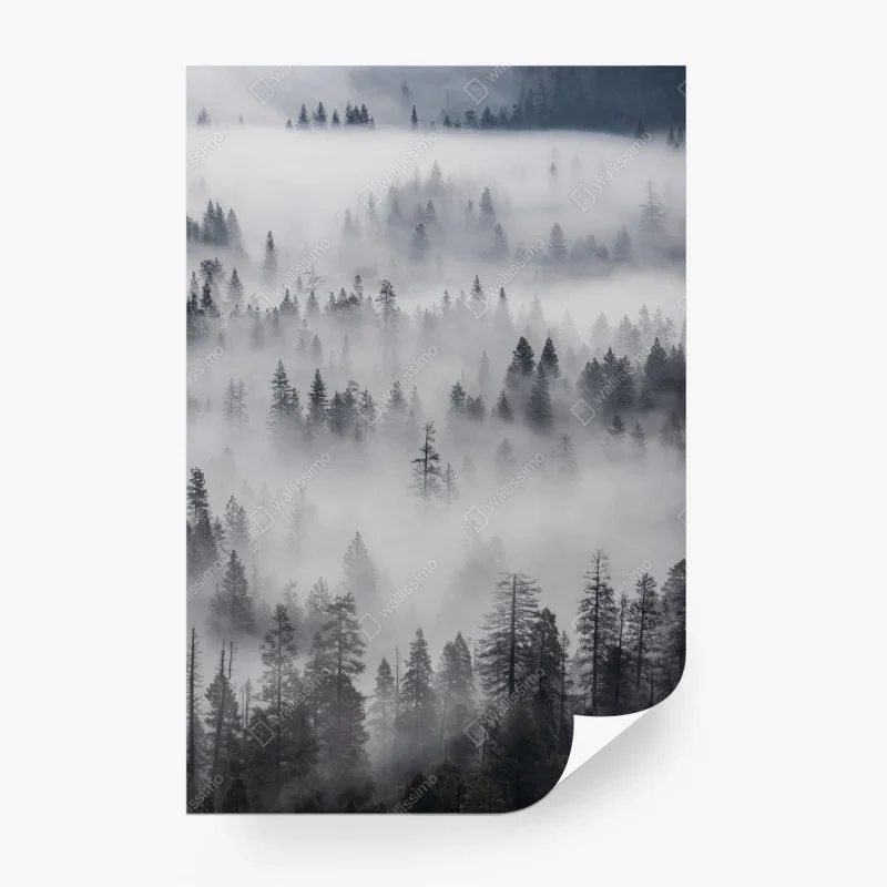 Papier peint forêt de pins enveloppée de brume – Wallnifity® Papier peint forêt de pins enveloppée de brume – Wallnifity®