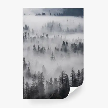 Papier peint forêt de pins enveloppée de brume – Wallnifity®