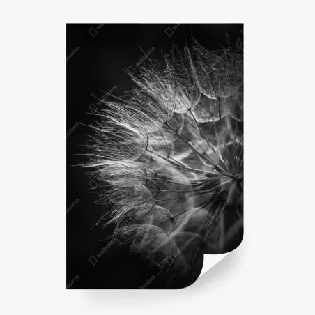 Papier peint souffle de pissenlit en noir et blanc – Wallnifity®