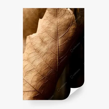 Papier peint texture de feuille sèche en gros plan – Wallnifity®