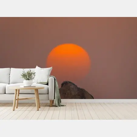 Papier peint silhouette d'un dromadaire au coucher de soleil – Wallnifity®