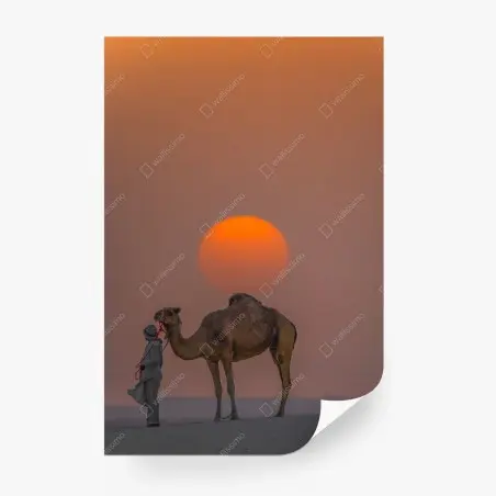 Papier peint silhouette d'un dromadaire au coucher de soleil – Wallnifity®