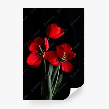 Papier peint bouquet de tulipes rouges sur fond noir – Wallnifity®