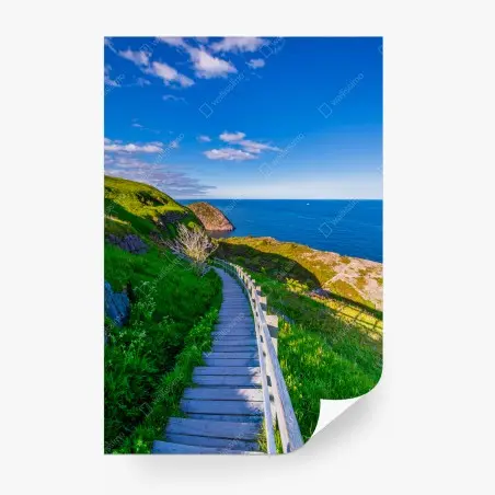 Papier peint sentier côtier au bord de l'océan – Wallnifity®