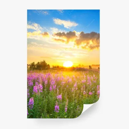Papier peint prairie en fleurs au lever du soleil – Wallnifity®