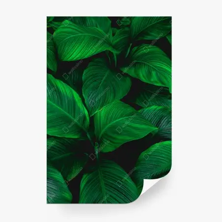 Papier peint feuillage tropical luxuriant – Wallnifity®