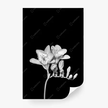 Papier peint freesia minimaliste en noir et blanc – Wallnifity®