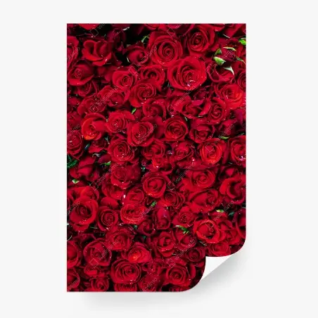 Papier peint océan de roses rouges – Wallnifity®