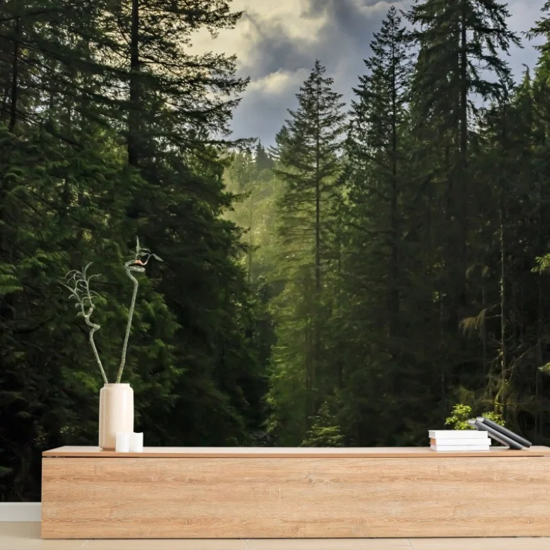 Papier peint paysage forestier: cascade entre les sapins – Wallnifity®