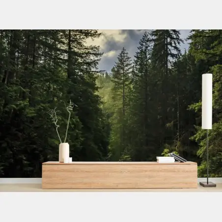 Papier peint paysage forestier: cascade entre les sapins – Wallnifity®
