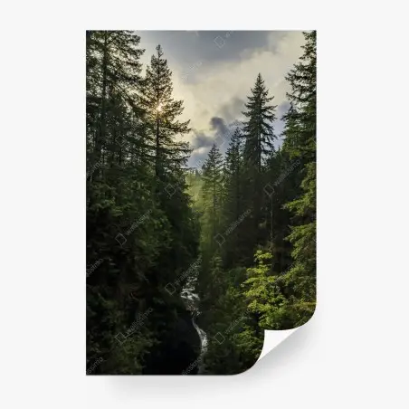 Papier peint paysage forestier: cascade entre les sapins – Wallnifity®