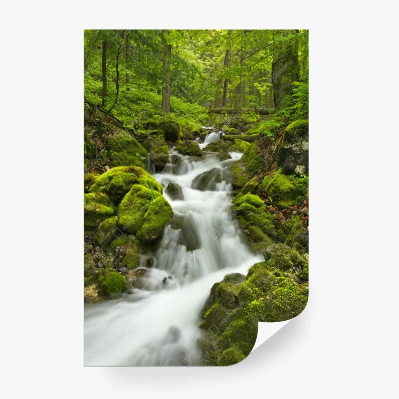 Papier peint cascade féerique de Slovenský Raj – Wallnifity® Papier peint cascade féerique de Slovenský Raj – Wallnifity®