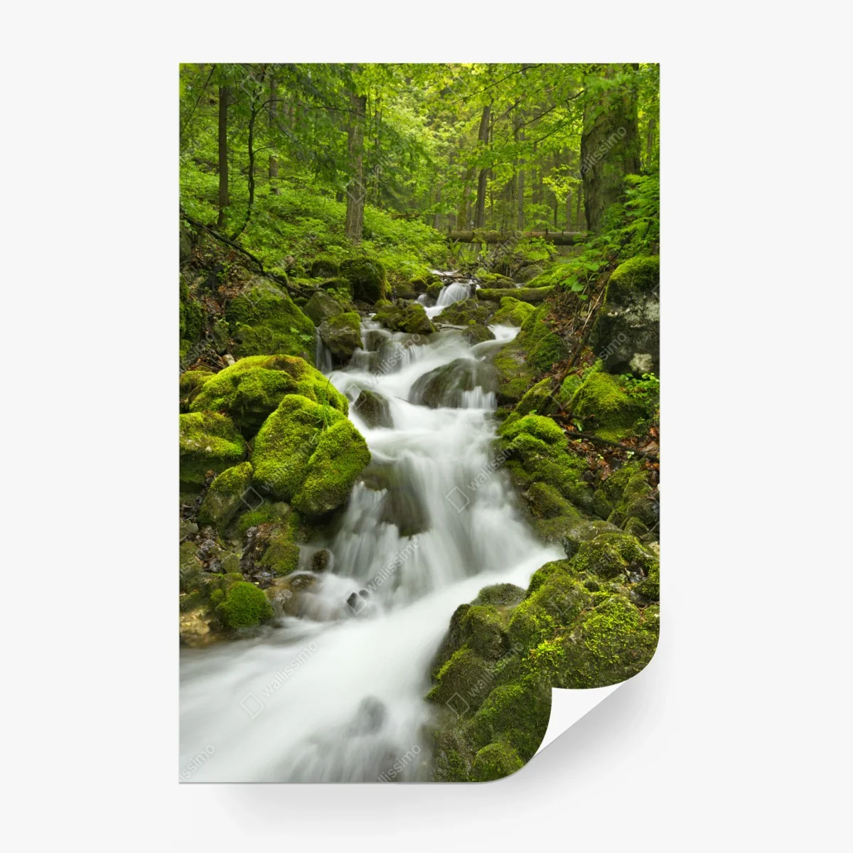 Papier peint cascade féerique de Slovenský Raj – Wallnifity® Papier peint cascade féerique de Slovenský Raj – Wallnifity®