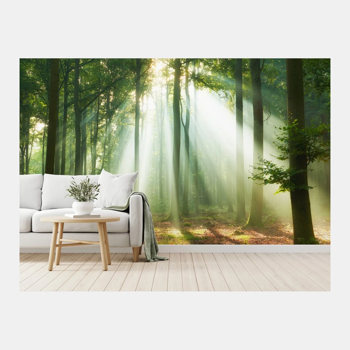 Papier peint lumière matinale dans la forêt – Wallnifity® Papier peint lumière matinale dans la forêt – Wallnifity®