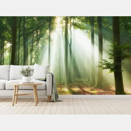 Papier peint lumière matinale dans la forêt – Wallnifity®