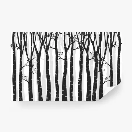Papier peint forêt de bouleaux minimaliste en noir et blanc – Wallnifity®