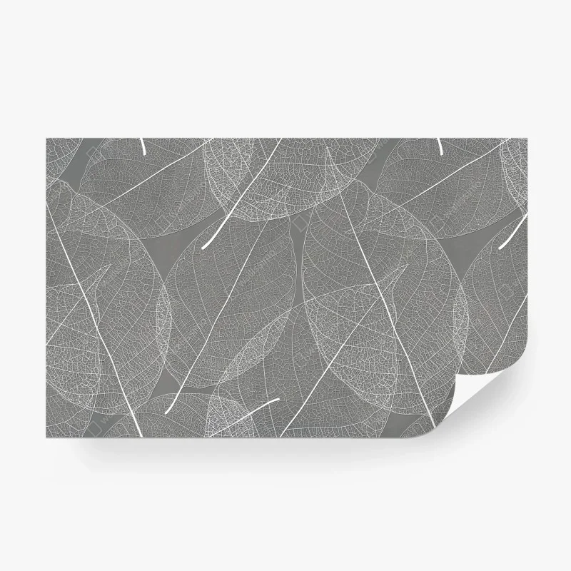 Papier peint motif feuilles squelettes minimaliste blanc et gris – Wallnifity®