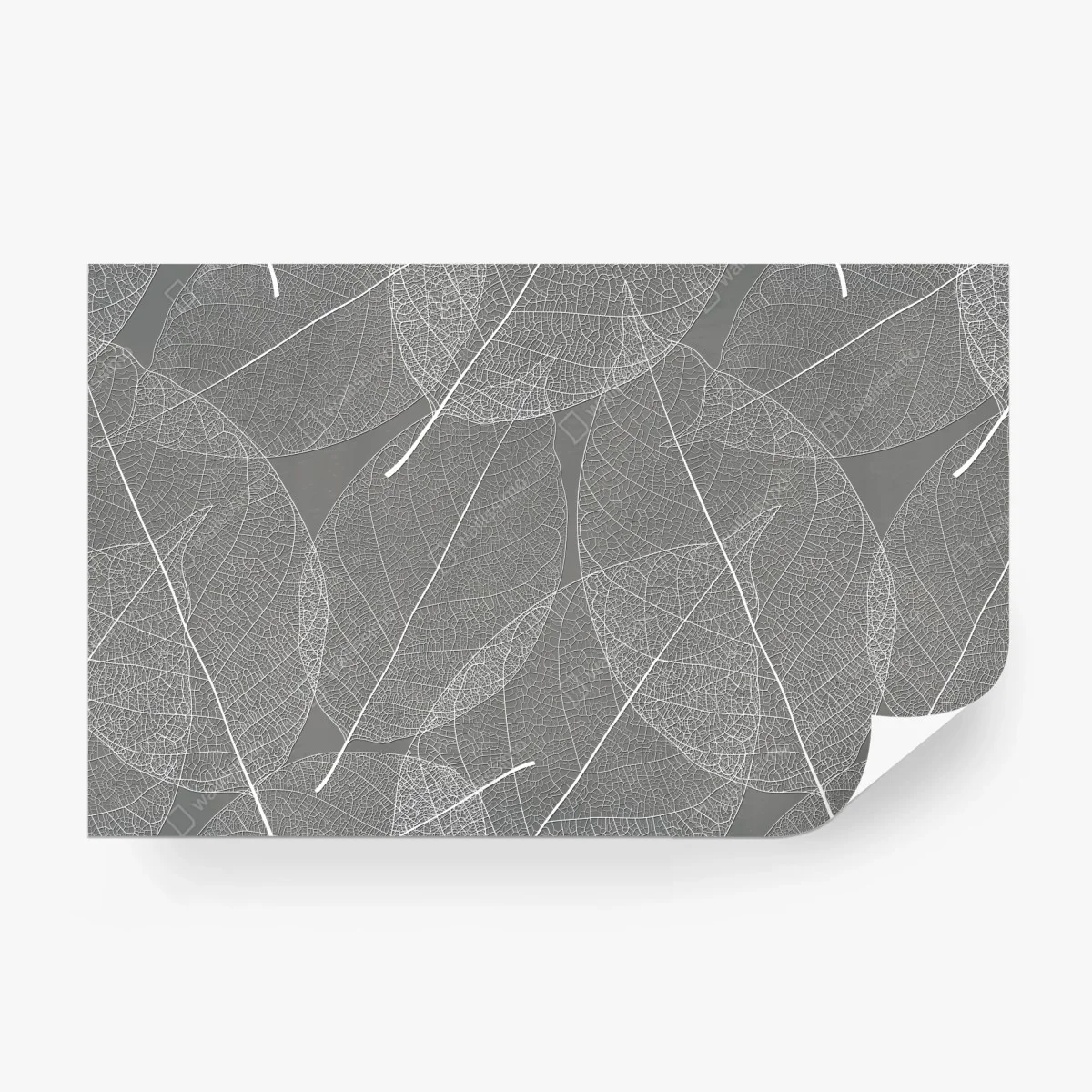 Papier peint motif feuilles squelettes minimaliste blanc et gris – Wallnifity®