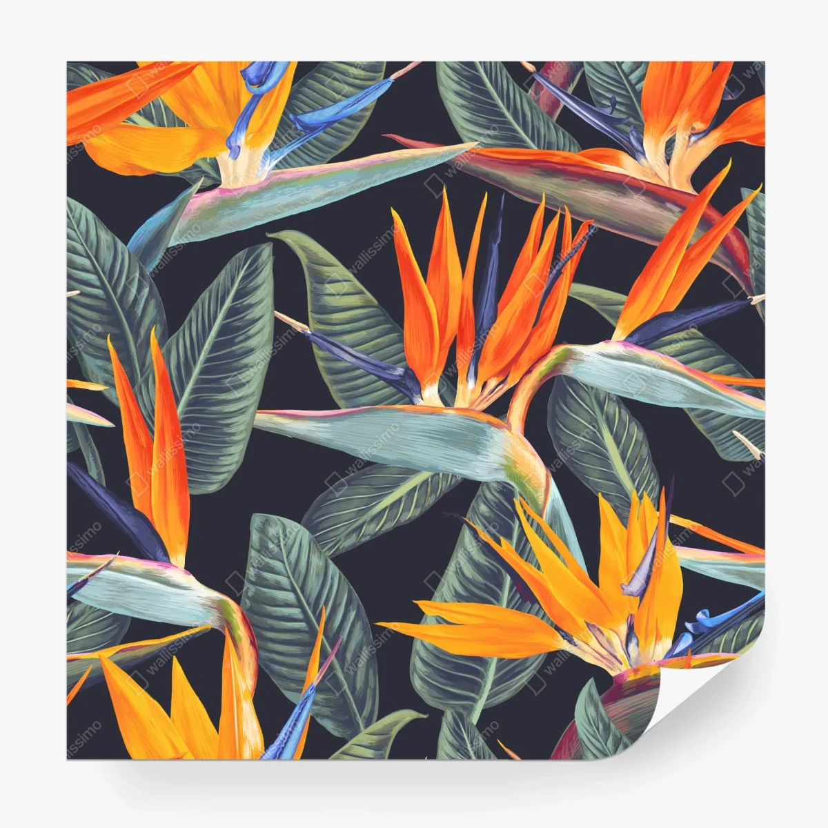 Papier peint motif tropical oiseau de paradis sur fond sombre – Wallnifity® Papier peint motif tropical oiseau de paradis sur fond sombre – Wallnifity®