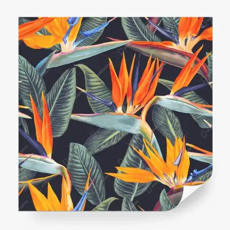 Papier peint motif tropical oiseau de paradis sur fond sombre – Wallnifity®