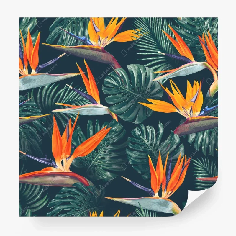 Papier peint motif tropical d'oiseaux-de-paradis et feuilles monstera – Wallnifity® Papier peint motif tropical d'oiseaux-de-paradis et feuilles monstera – Wallnifity®