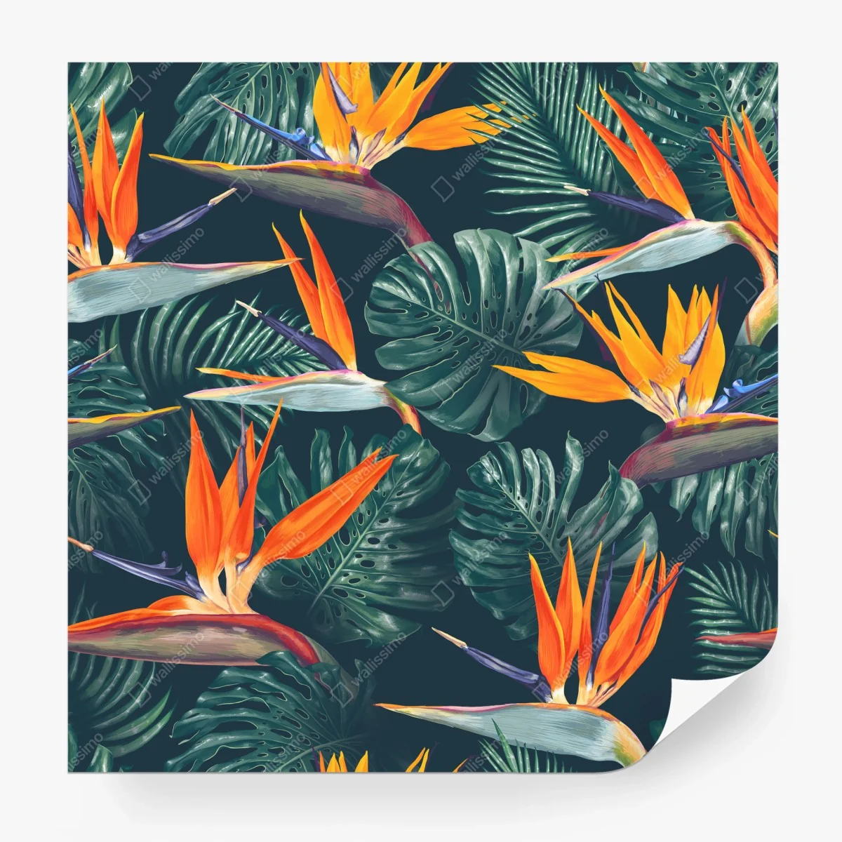 Papier peint motif tropical d'oiseaux-de-paradis et feuilles monstera – Wallnifity® Papier peint motif tropical d'oiseaux-de-paradis et feuilles monstera – Wallnifity®