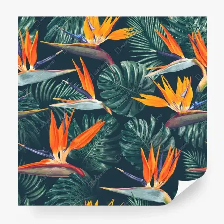 Papier peint motif tropical d'oiseaux-de-paradis et feuilles monstera – Wallnifity®
