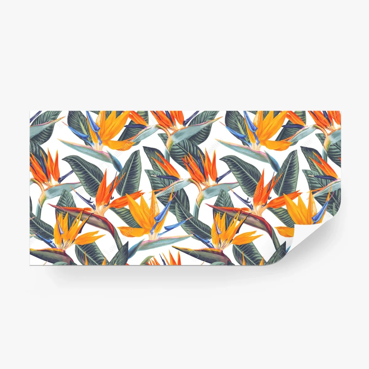 Papier peint motif oiseau de paradis aux couleurs vives – Wallnifity® Papier peint motif oiseau de paradis aux couleurs vives – Wallnifity®