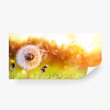 Papier peint pissenlit au vent au coucher de soleil doré – Wallnifity®