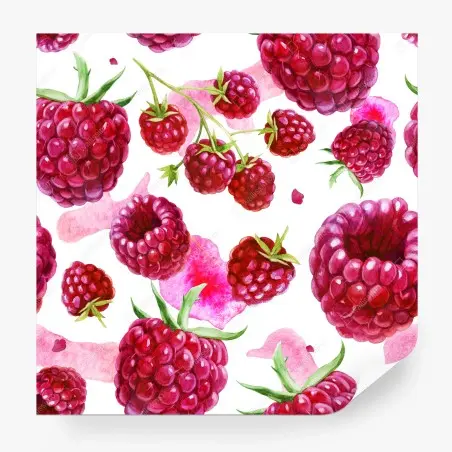 Papier peint motif framboises aquarelle éclatant – Wallnifity®