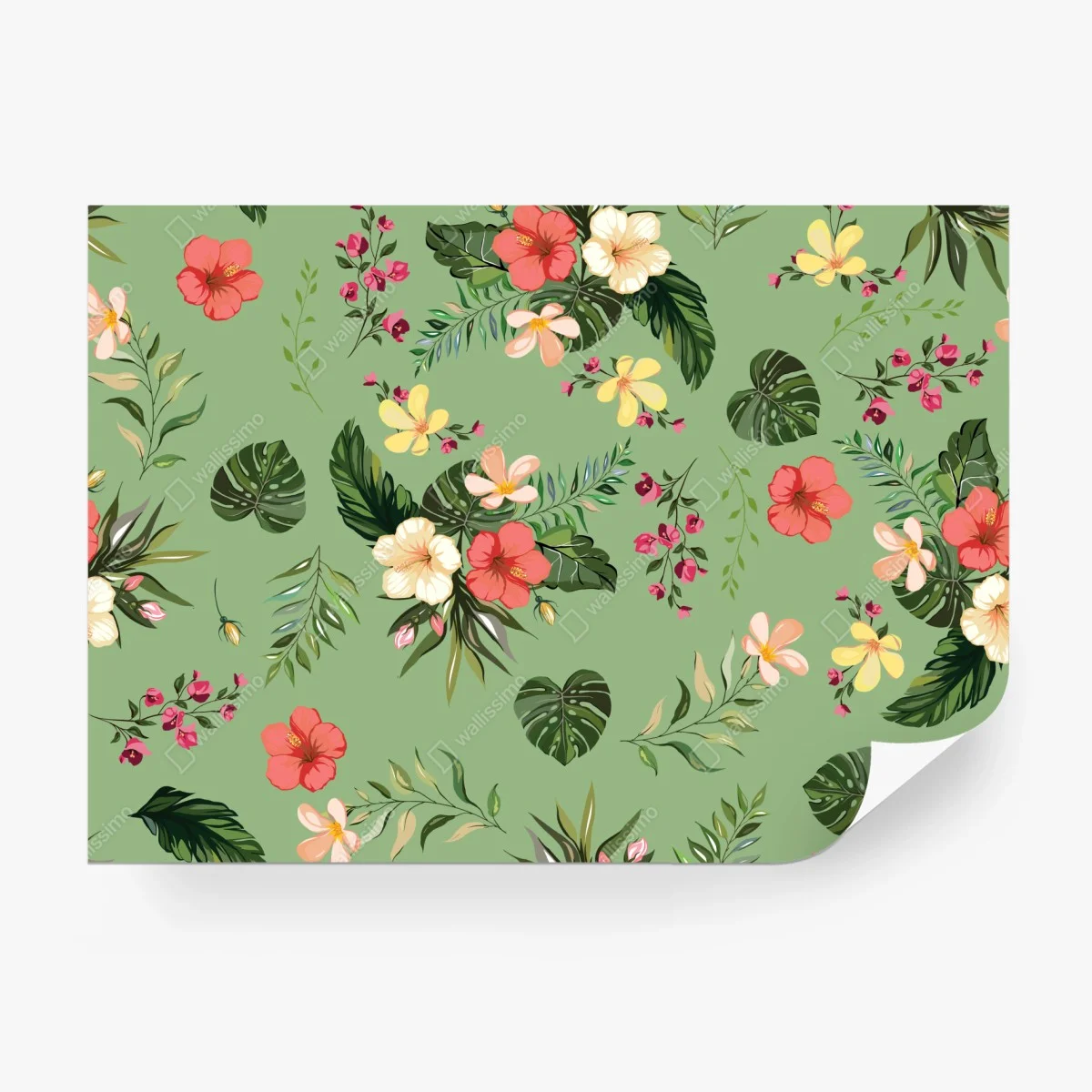 Papier peint motif tropical fleuri sur fond vert – Wallnifity®