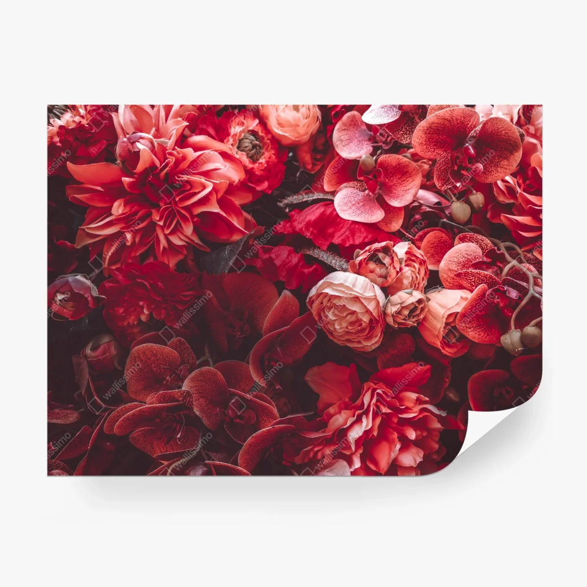 Papier peint composition florale rouge et texturée – Wallnifity® Papier peint composition florale rouge et texturée – Wallnifity®