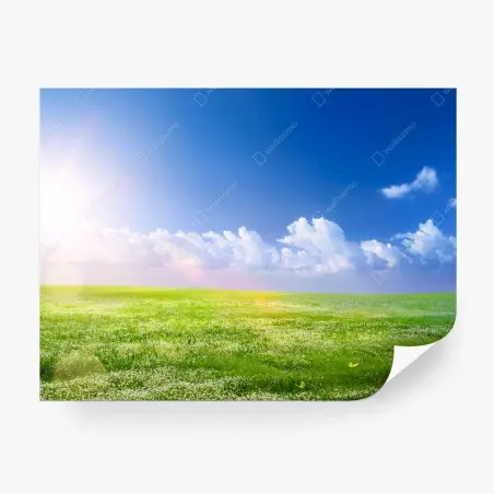 Papier peint horizon printanier sous ciel bleu – Wallnifity®