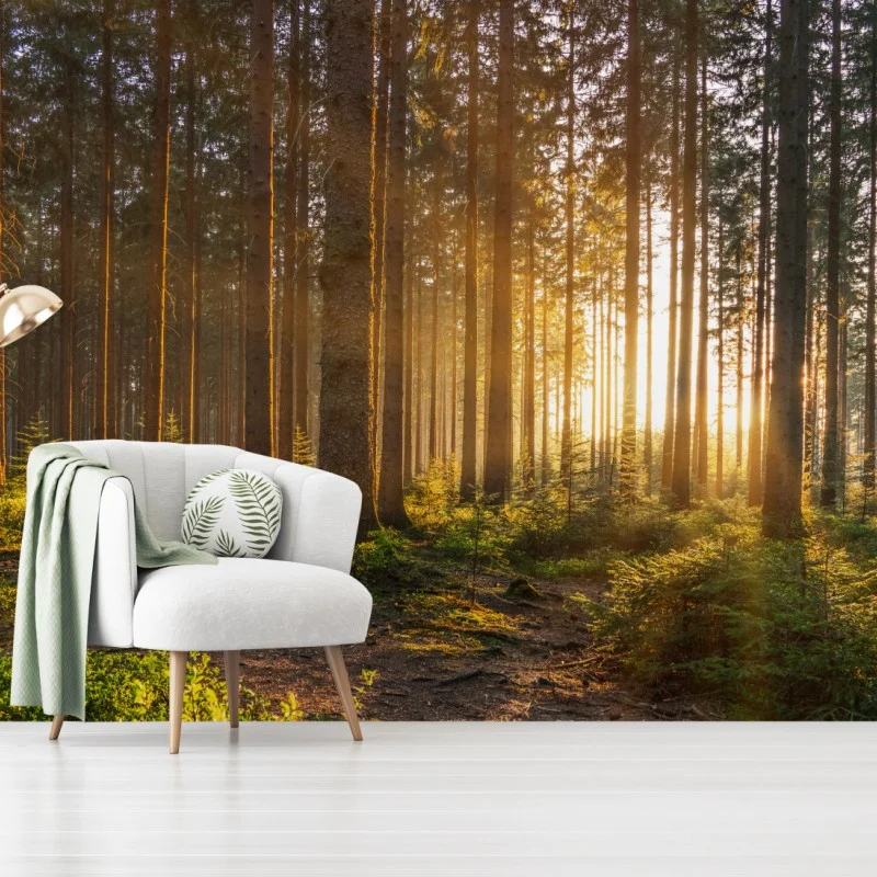 Forêts – Wallnifity®
