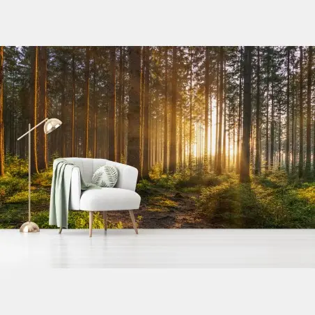 Papier peint forêt silencieuse aux rayons dorés – Wallnifity®