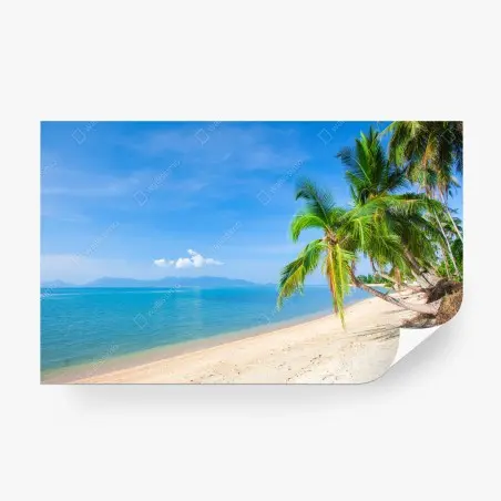 Papier peint plage tropicale paisible avec palmiers – Wallnifity®