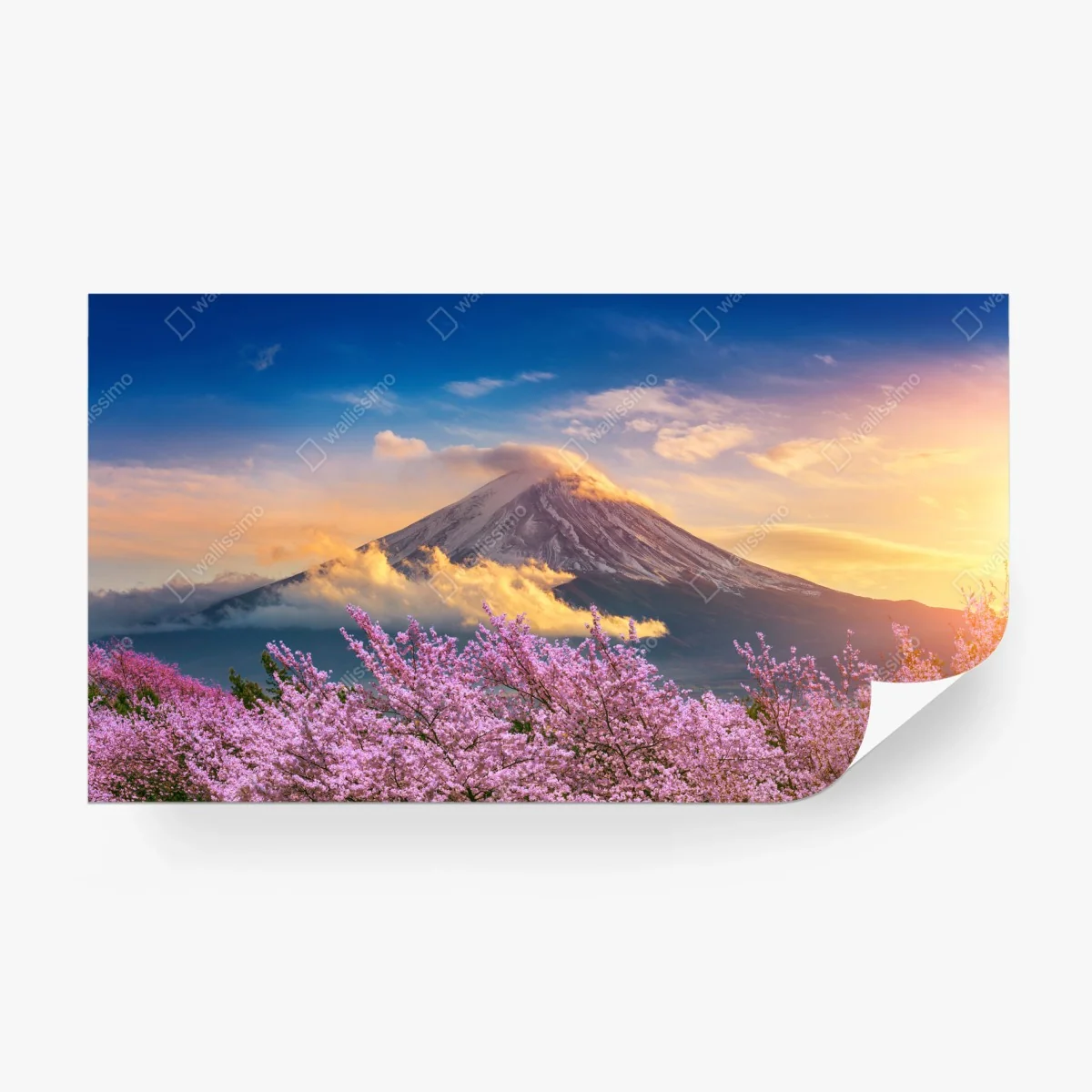 Papier peint lever du soleil sur le Mont Fuji et cerisiers en fleurs – Wallnifity® Papier peint lever du soleil sur le Mont Fuji et cerisiers en fleurs – Wallnifity®