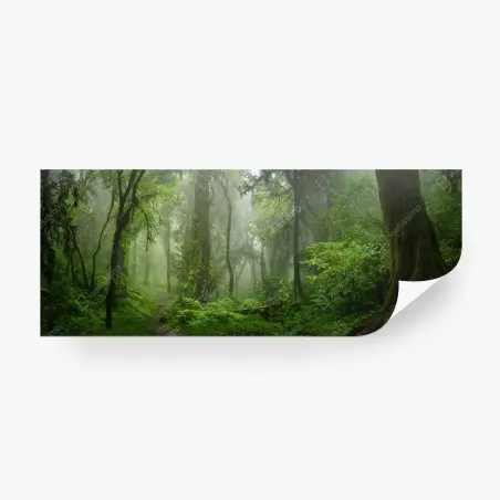 Papier peint brume verte dans la forêt tropicale d'Asie du Sud-Est – Wallnifity®
