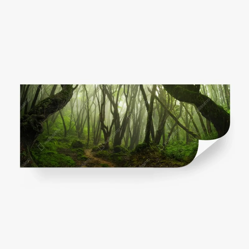 Papier peint forêt brumeuse enchantée – Wallnifity®