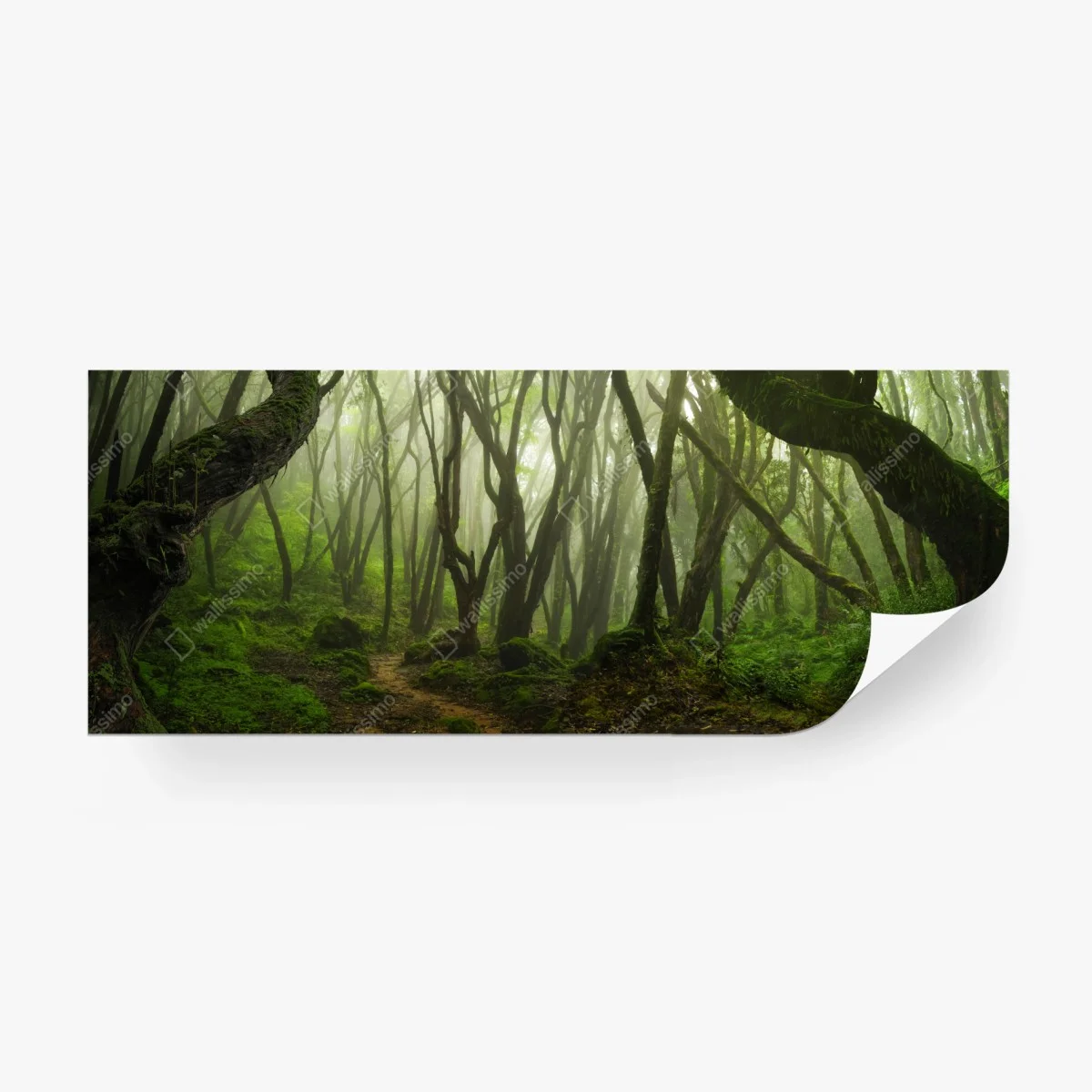 Papier peint forêt brumeuse enchantée – Wallnifity®