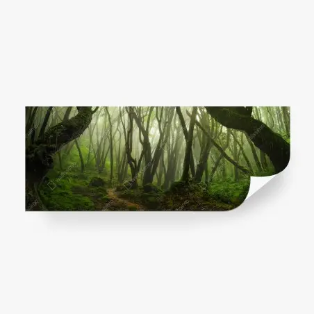 Papier peint forêt brumeuse enchantée – Wallnifity®