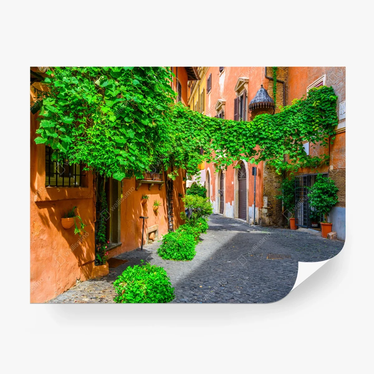 Papier peint ruelle ensoleillée à Trastevere, Rome – Wallnifity® Papier peint ruelle ensoleillée à Trastevere, Rome – Wallnifity®