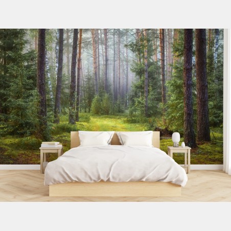 Papier peint sentier lumineux dans la forêt brumeuse – Wallnifity®