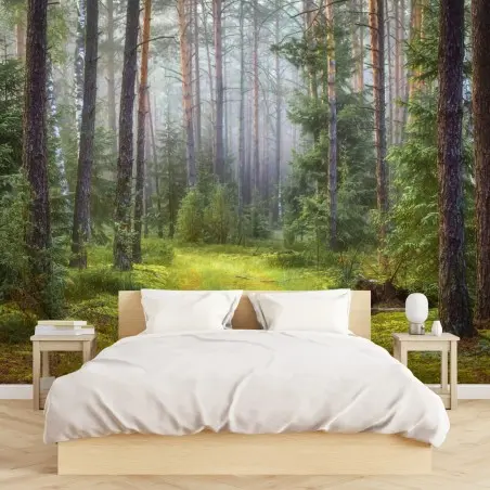 Papier peint sentier lumineux dans la forêt brumeuse – Wallnifity®